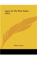 Agave In The West Indies (1912)