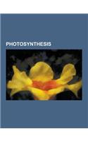 Photosynthesis: Chloroplast, Carbon Cycle, Cyanobacteria, Carbon Sink, Stoma, Plastid, Phosphate Reaction, Nicotinamide Adenine Dinucl