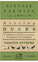 Rearing Ducks - A Collection of Articles on Housing, Feeding and Care of Ducklings: (English)