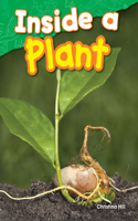 Inside a Plant: (Science: Informational Text)