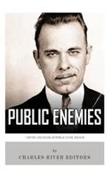 Public Enemies