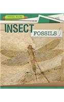 Insect Fossils