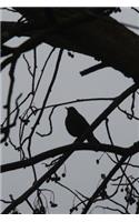 Silhouette of a Bird on a Tree Journal