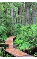 A Tranquil Pathway Through the Rainforest Journal: 150 Page Lined Notebook/Diary