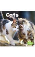 Cats: (Our Pets)