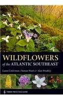 Wildflowers of the Atlantic Southeast