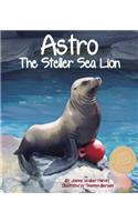 Astro: The Steller Sea Lion