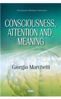 Consciousness, Attention & Meaning