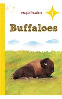 Buffaloes: Level 1