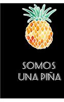 Somos una piña