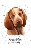 Bracco Italiano 2020 Planner