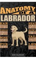 Anatomy Of A Labrador Retriever: Labrador Retriever 2020 Calendar - Customized Gift For Labrador Retriever Dog Owner