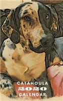 Catahoula 2020 Calendar