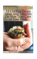 Raising Chicken