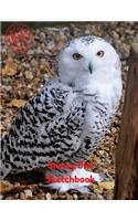 Snowy Owl Sketchbook