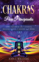 Chakras Para Principiantes