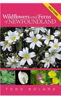 Wildflowers and Ferns of Newfoundland and Labrador