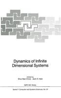 Dynamics of Infinite Dimensional Systems