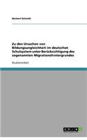 Zu den Ursachen von Bildungsungleichheit im deutschen Schulsystem unter Berücksichtigung des sogenannten Migrationshintergrundes