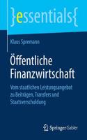 Öffentliche Finanzwirtschaft: Vom Staatlichen Leistungsangebot Zu Beiträgen, Transfers Und Staatsverschuldung