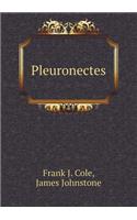 Pleuronectes