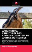 Arquitetura Estrutural Das Camadas Da Retina Em Animais Domésticos