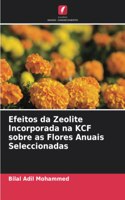 Efeitos da Zeolite Incorporada na KCF sobre as Flores Anuais Seleccionadas