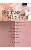 Sultans and Mughals