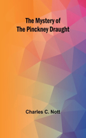 Mystery of the Pinckney Draught