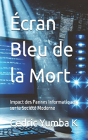 Écran Bleu de la Mort: Impact des Pannes Informatiques sur la Société Moderne