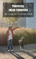 Training Irish Terriers: How To Raise And Train An Irish Terrier: Irish Terrier Cross