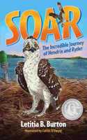 Soar