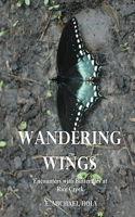Wandering Wings