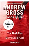 The Andrew Gross: The Dark Tide, Don't Look Twice, and Reckless
