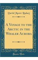 A Voyage to the Arctic in the Whaler Aurora (Classic Reprint)