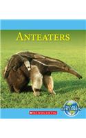 Anteaters