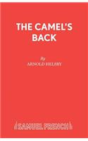 Camel's Back