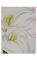 Georgia O'Keeffe: Two Calla Lilies on Pink Small Boxed Cards