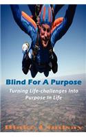 Blind For A Purpose