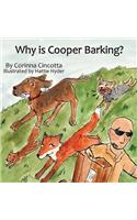Why is Cooper Barking?