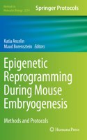 Epigenetic Reprogramming During Mouse Embryogenesis