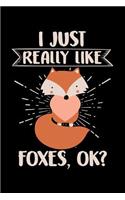 I Just Really Like Foxes, Ok?: A Journal, Notepad, or Diary to write down your thoughts. - 120 Page - 6x9 - College Ruled Journal - Writing Book, Personal Writing Space, Doodle, N