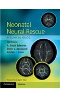 Neonatal Neural Rescue