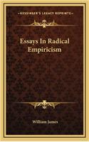 Essays in Radical Empiricism