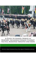 A Guide to Horses