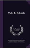 Under the Redwoods