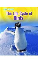 Life Cycle of Birds