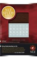 NLT Study Bible, Personal Size Dark Brown/Blue