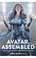 Avatar, Assembled