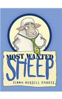 Most Wanted Sheep